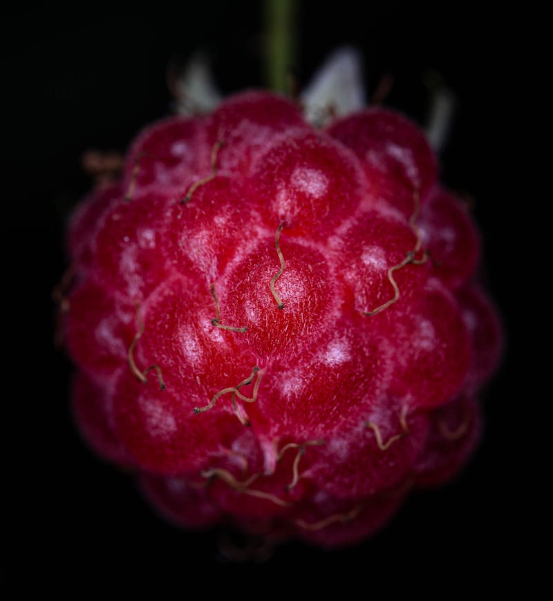 Raspberry Chipotle Jam